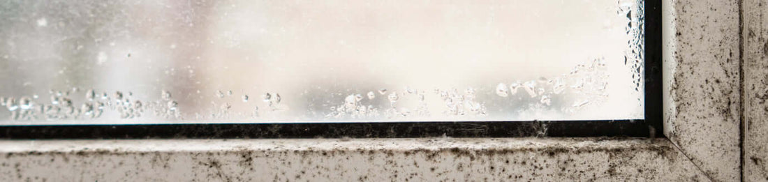 🍂 Während Herbst und Winter bemerken viele Bewohner, dass Fenster beschlagen 💧, sich Schimmelflecken an Wänden bilden 🦠 und die Luftfeuchtigkeit in den Räumen bleibt – obwohl die Lüftungsanlage (Zentralanlage / Wohnraumlüftung) läuft.